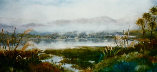 Nordinsel, NZ, 2000